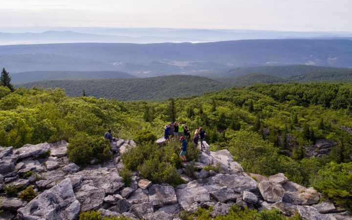 A group of people take in a view of densely wooded mountains from a rocky outlook 